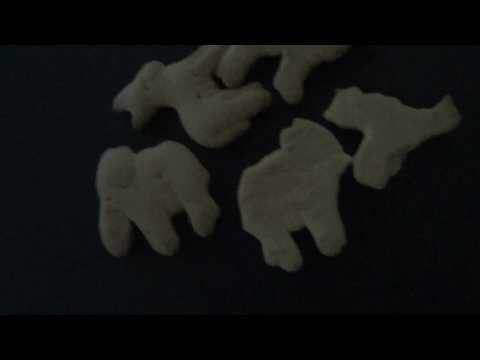 Stauffer's Original Animal