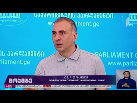 პროტესტი „ნამახვანჰესის“ წინააღმდეგ - პოლიტიკური შეფასებები