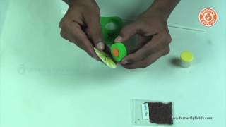 DIY Seed Dispersal by Shaking | EVS Project | Butterfly Fields