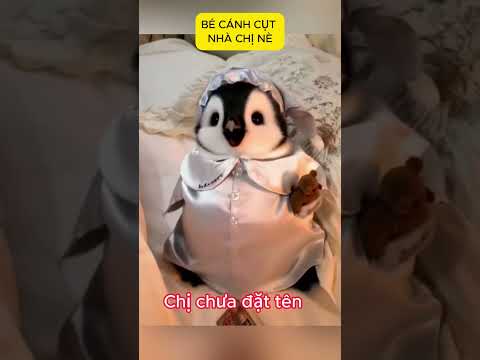 Các em xem