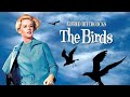 The Birds 1963 is the ATROCITY inspired BIRDEMIC 🐦
