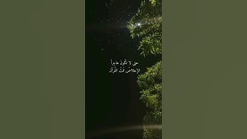 سوره الاخلاص #ستوريات #قرآن #قران_كريم