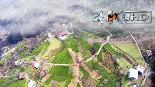 Çayeli/Yenice köyü