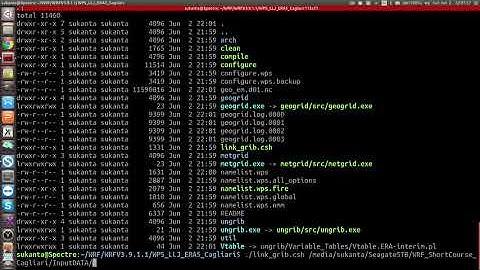 Running the WPS model on Ubuntu