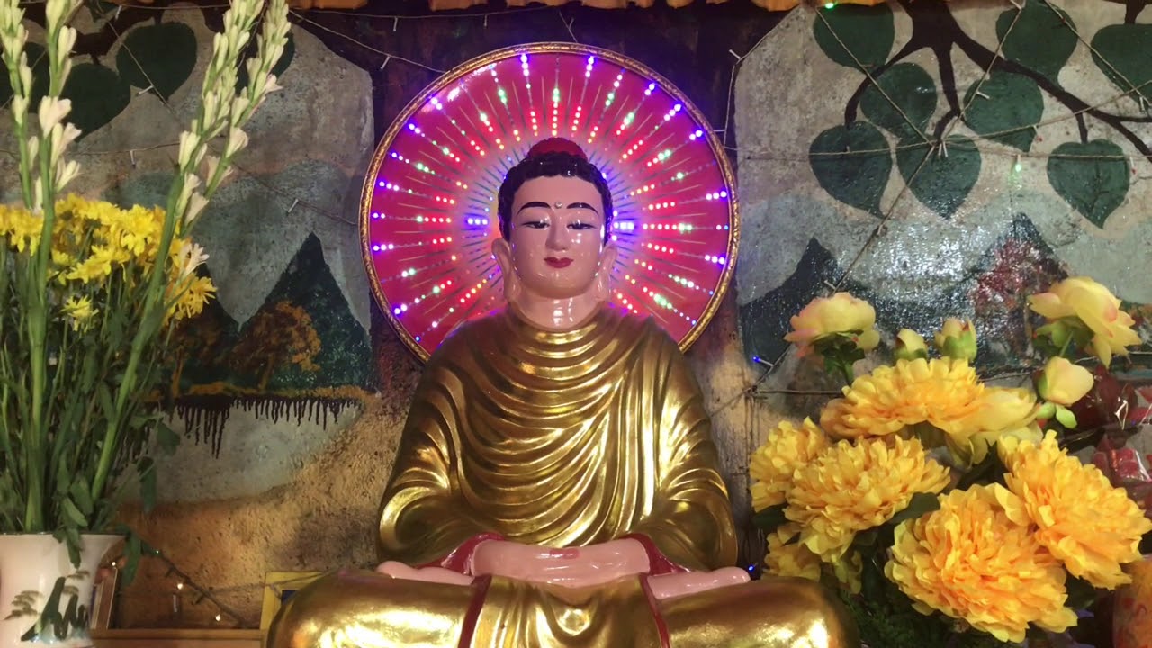 Ẩn tu hơn 40 năm trên núi - tịnh thất bát nhã - sư Giác Nhân