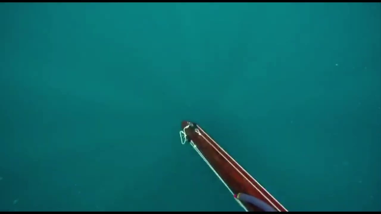 B Daniel Single Invert Roller 110 Spanish mackerel long shot