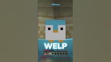 Minecraft, But I Can