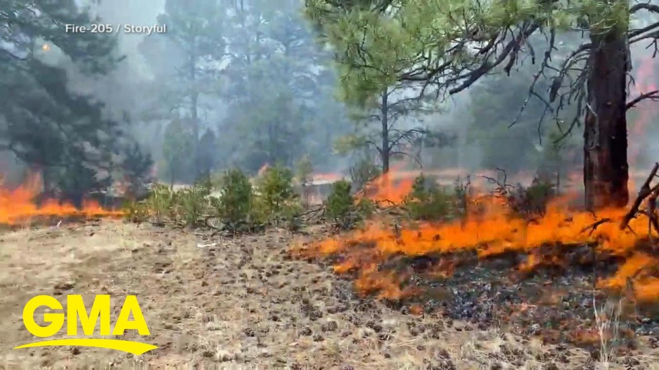 Extreme fire danger across southwest l GMA - YouTube