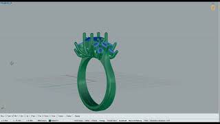oval and marquse gem ring 0