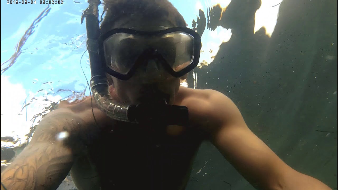 La Jolla Snorkeling YouTube