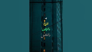 تلاوة الشيخ ياسرالدوسري  🍂من سورة﴿ النحل﴾ #quran القرآن الكريم 🍃🍂