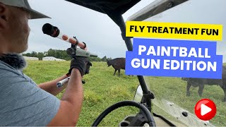 Paintball Gun Fly Treatment for Cattle | Fun & Effective Method on Midwest Homesteading