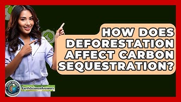 How Does Deforestation Affect Carbon Sequestration? - Earth Science Answers
