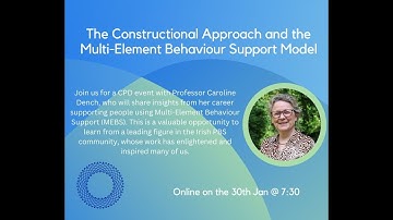 The Constructional Approach and the Multi Element Behaviour Support Model   2025 01 30 19 12 GMT – R