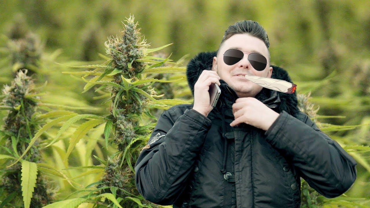 Cannabis Prank im Laden? Was dann passiert 😯 - YouTube