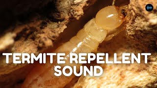 Download Lagu Termite Repellent Sound MP3