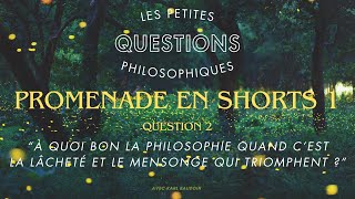 À quoi bon la philosophie quand c'est la lâcheté et le mensonge qui triomphent ?