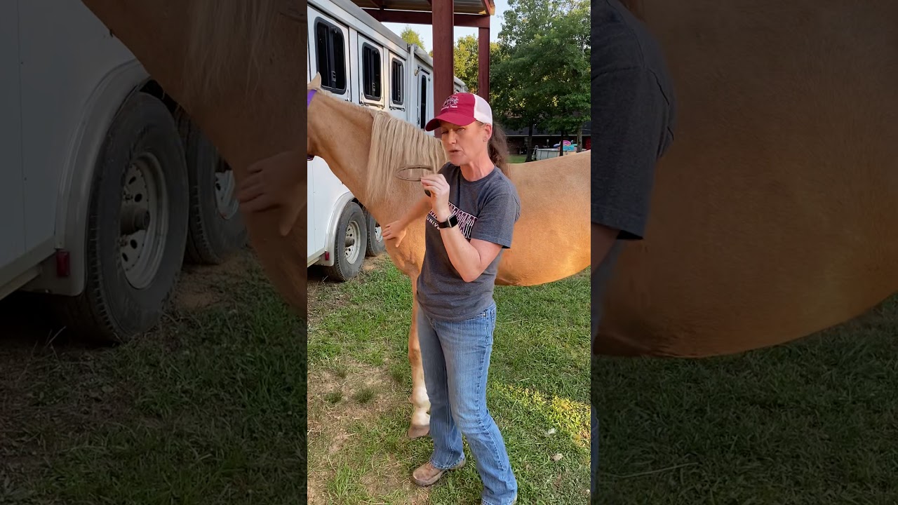 Farrier Care for the Performance Horse