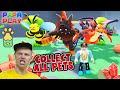 СОБРАЛ ВСЕ ПЕТЫ!!! Collect All Pets papa