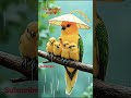 the beautiful Bird 🕊️🕊️ #heenaprajapati #marriageproposals