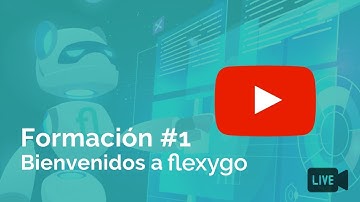 #1 Introducción a flexygo