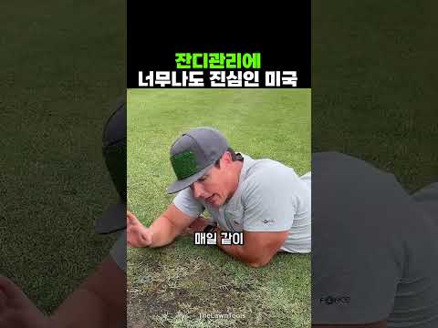 잔디관리에 너무나도 진심인 <strong>미국</strong>