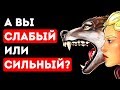 Download Какой у вас Характер: Сильный или Слабый? Какой у вас Характер: Сильный или Слабый?