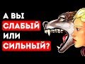 Какой у вас Характер: Сильный или Слабый?