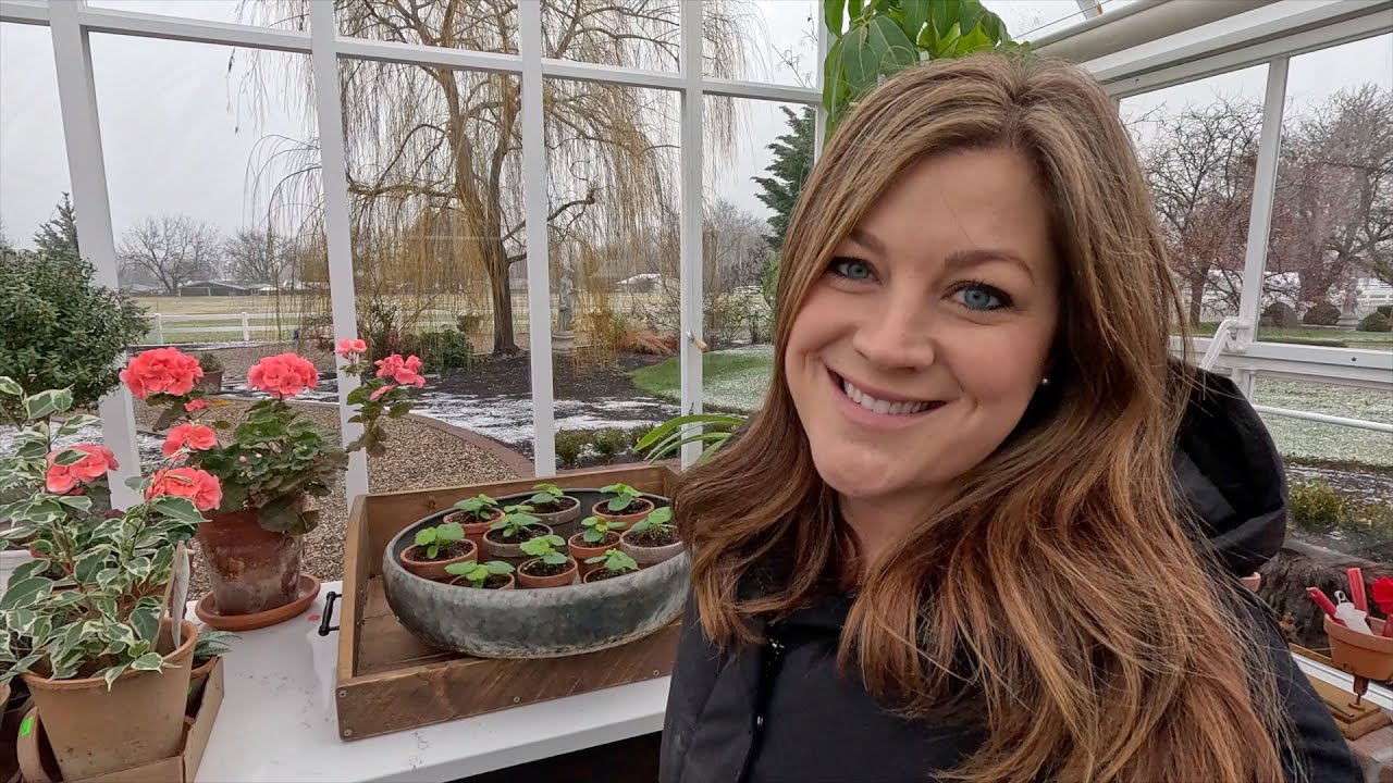 Tour of New Load at the Garden Center + Picking Out/Planting Houseplant Hostess Gifts!