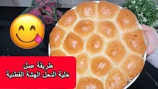 خلية النحل الهشة القطنية