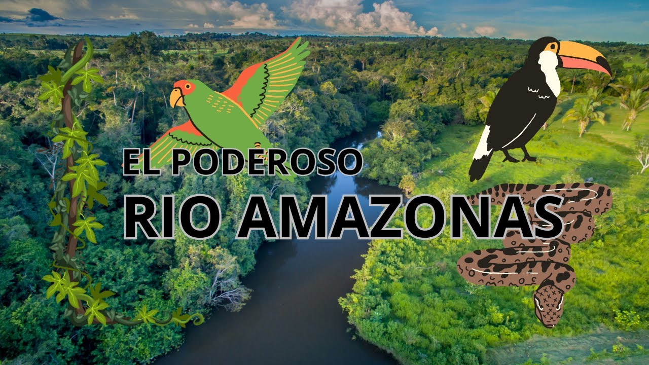 El Poderoso Río Amazonas: Datos, Selva y Conservación - YouTube