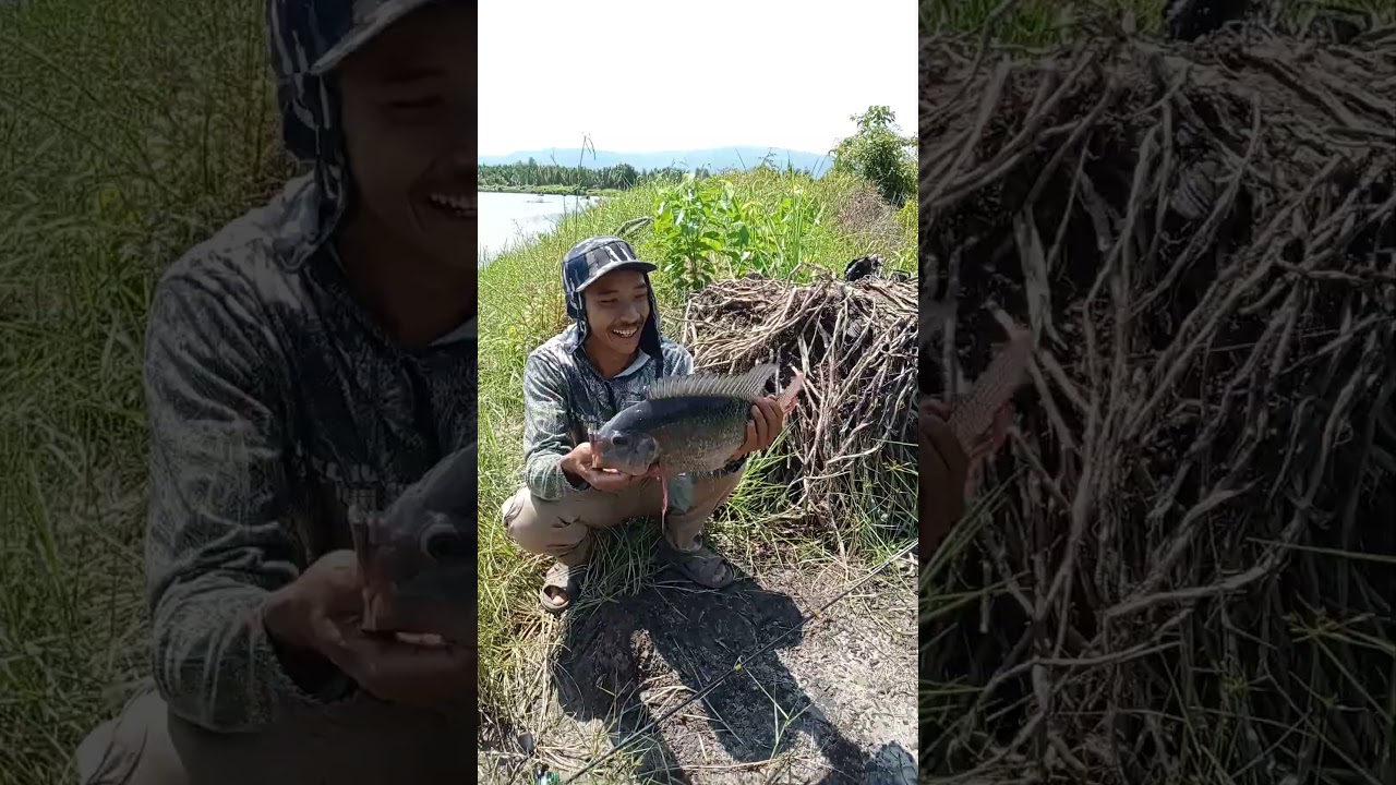 strike nila babon menggunakan mata kail jangkar..