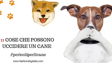 Cosa succede se si uccide un cane?