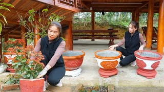 Technique of casting bonsai pots with cement  Grow flower | My Farm/ Đào