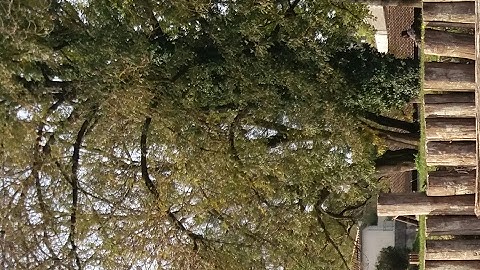 Minecraft construction d