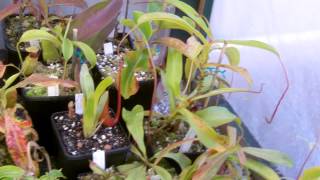 IMAG0126