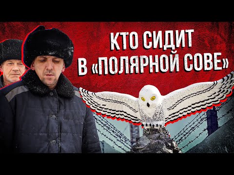 «Полярная Сова»: Кто Сидит В Самой Страшной Тюрьме России