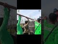Mother Orangutan and Baby Rescued From Destroyed Forest