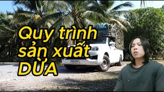 Tóm tắt quy trình sản xuất trái dừa tươi mát, dừa tươi nguyên trái II Công pipi