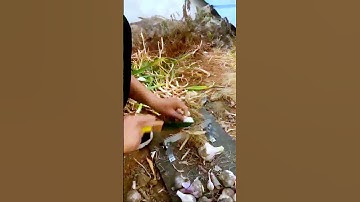 The process of cutting garlic = good tools to increase efficiency