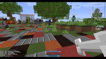 Minecraft VimeWorld Server Hunger Games