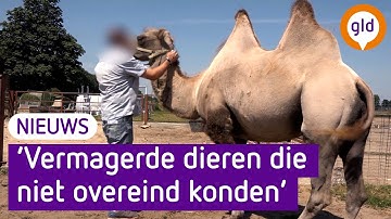 Vijfjarig VERBOD op houden van dieren voor Bert