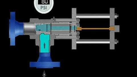 Rupture Pin Relief Valve