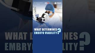 Embryo Viability Explained | How Embryos Are Assessed in IVF