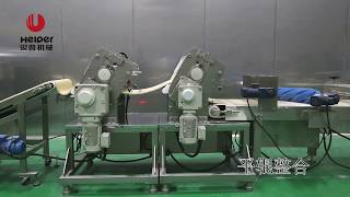 Dough sheet production line