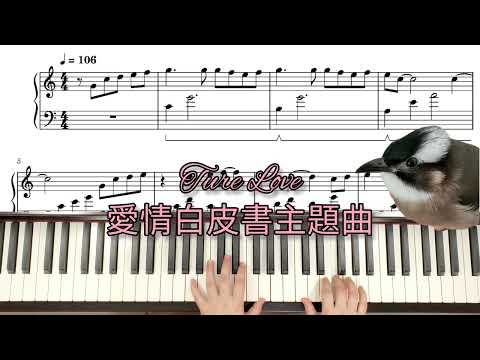 【鋼琴演奏】愛情白皮書主題曲 - True Love (日劇精彩翻奏 + 自創伴奏)