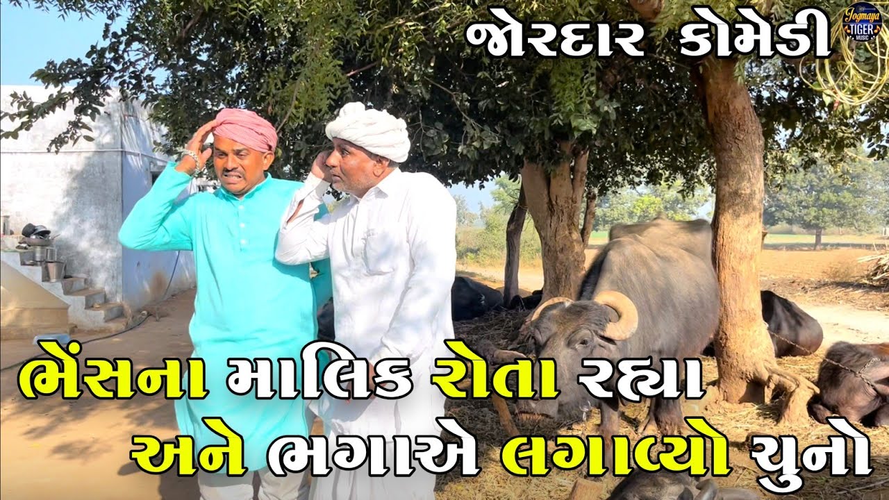ભેંસના માલિક રોતા રહ્યા અને ભગાએ લગાવ્યો ચુનો | BHESHNA MALIK ROTA RAHYA ANE BHAGA A LAGAVYO CHUNO 