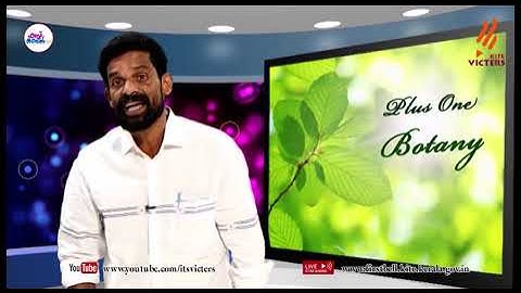 First Bell 2.0 Plus One Botany Class 02