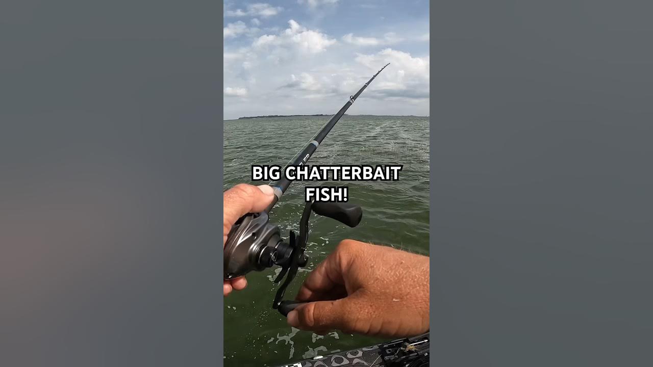 Bass Love Chatterbaits! 