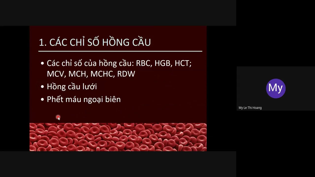 Hội Chứng Thiếu Máu | Nội cơ sở 1 - CTUMP - TS. Lê Thị Hoàng Mỹ